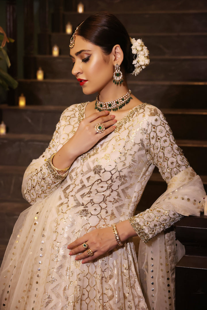  Dive into the beauty of the PALWASHA collection, showcasing intricate designs and luxurious fabrics for every occasion.