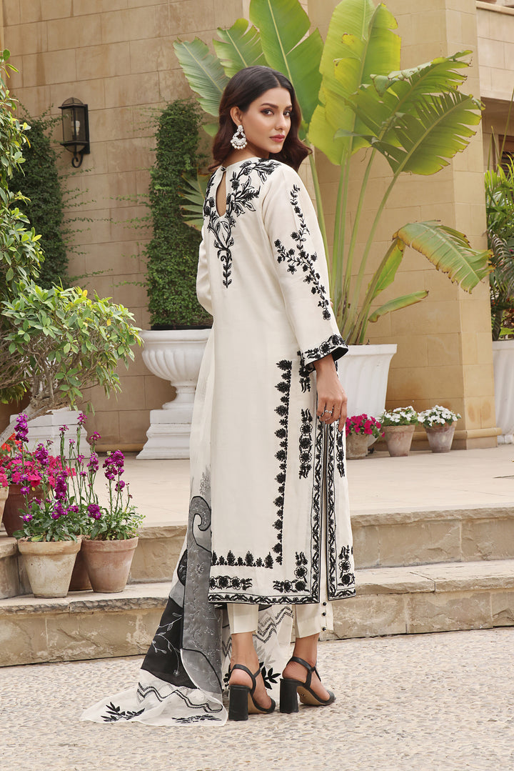  Explore the enchanting Noor e Nazar collection, crafted from pure sheesha silk with intricate embroidery and delicate detailing for a truly timeless look.